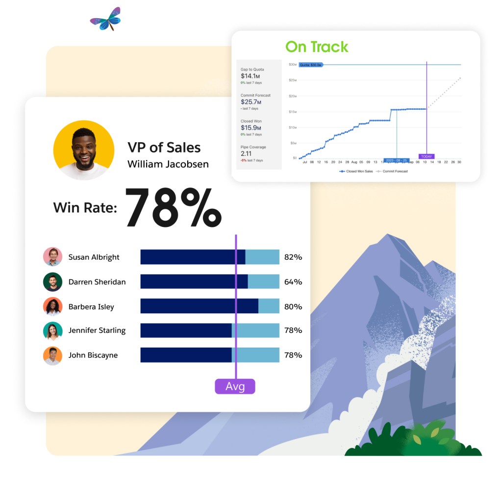 Graphical view of team's individual win rate and avg, highlighting VP of Sales performance, with On Track label