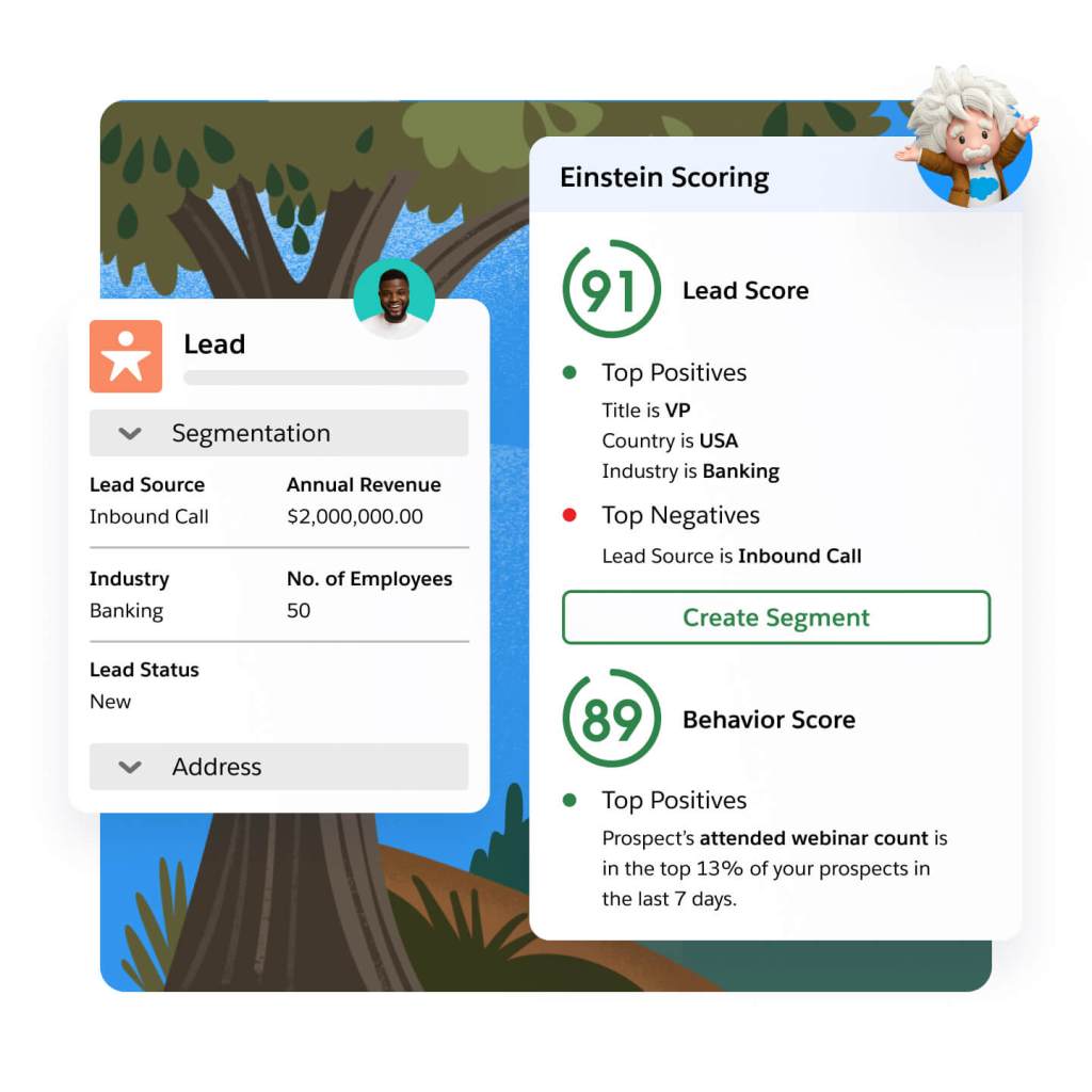 Image of Einstein behavioural scoring for a customer. 