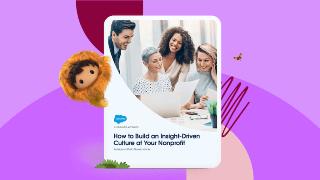 How to Build an Insight-Driven Culture at Your Nonprofit